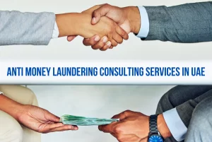 Anti Money Laundering consulting services