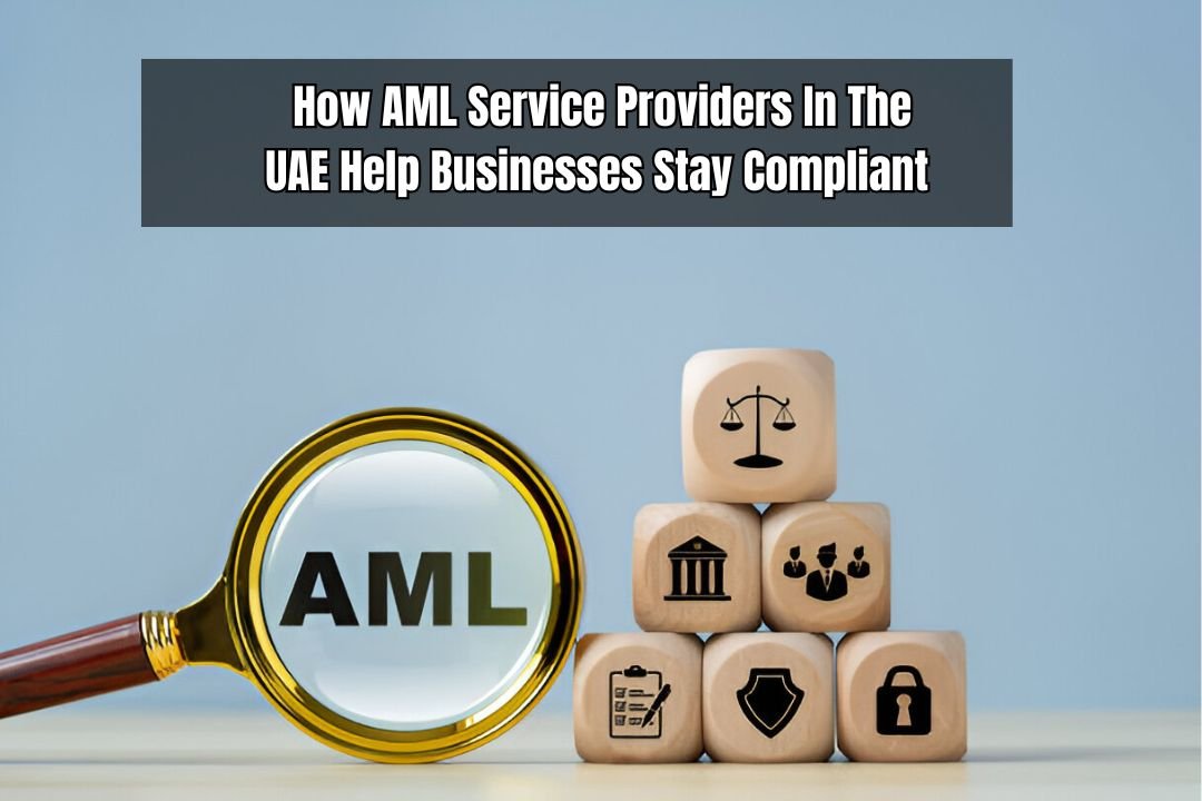 How AML Service Providers