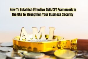 AML/CFT Framework