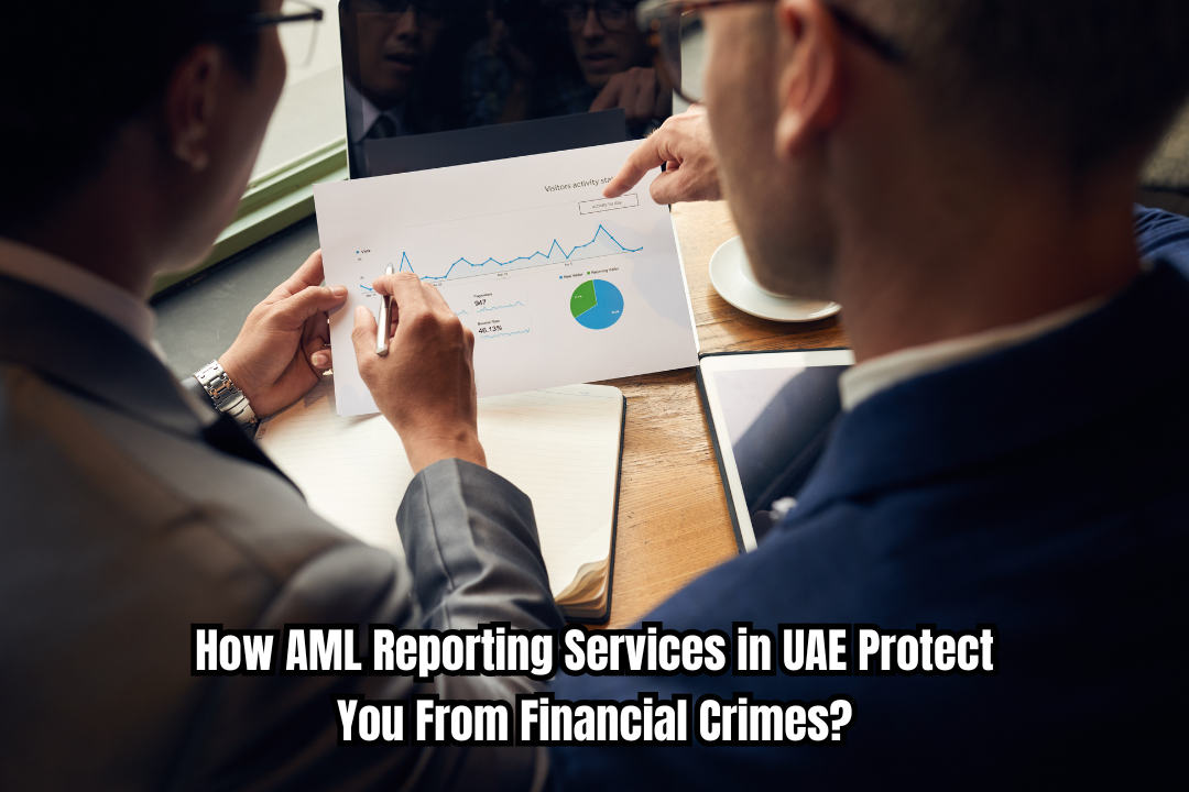 AML Reporting Services in UAE