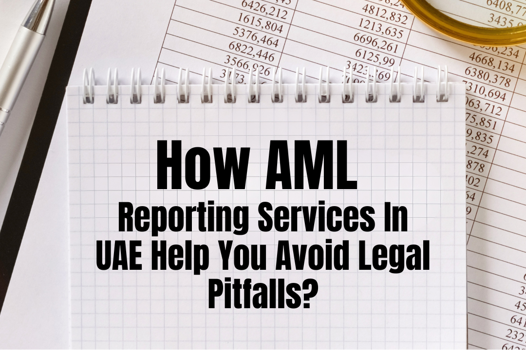 AML Reporting Services in UAE